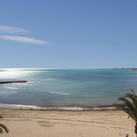 Homely Apartments Noruega Torrevieja Exterior photo